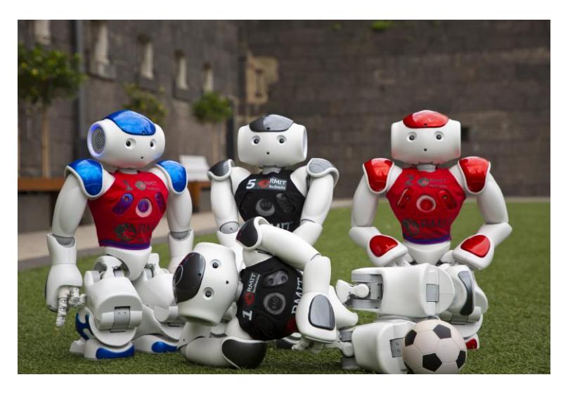 RedBackBots V6 & V5 Nao Robots with home/away Jerseys