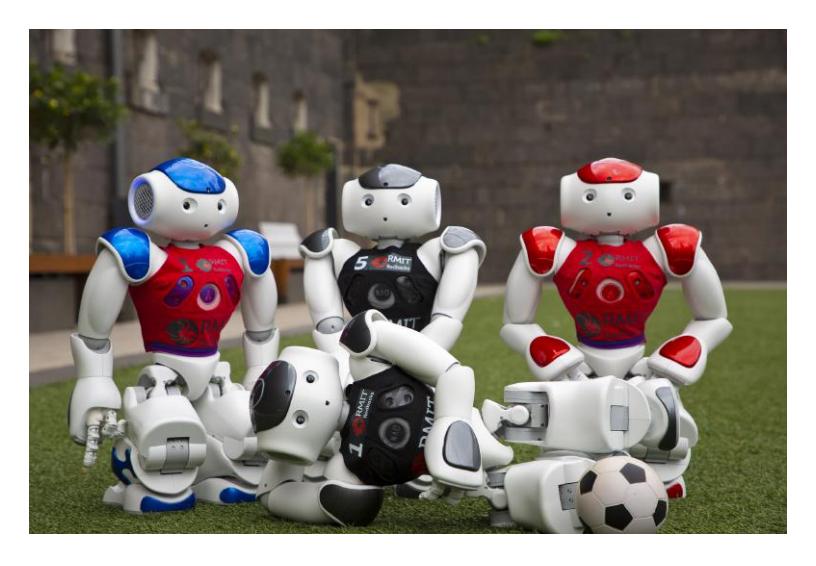 RedbackBots V6 & V5 Nao Robots with home/away Jerseys