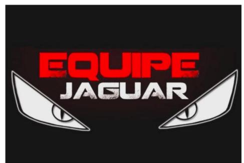 Team logo 2